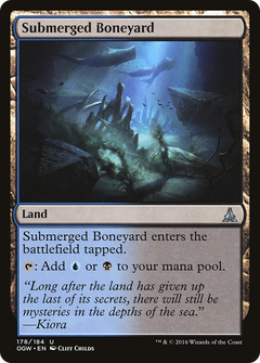 Submerged Boneyard - Foil