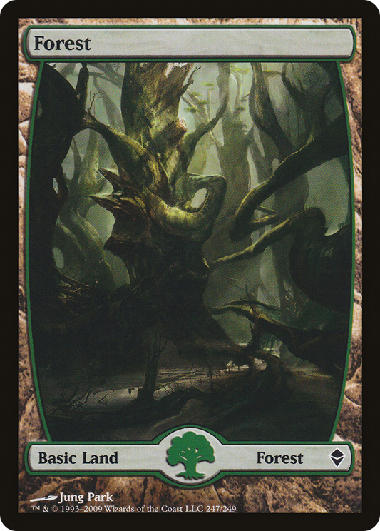 Forest (247) (Full Art) - Foil
