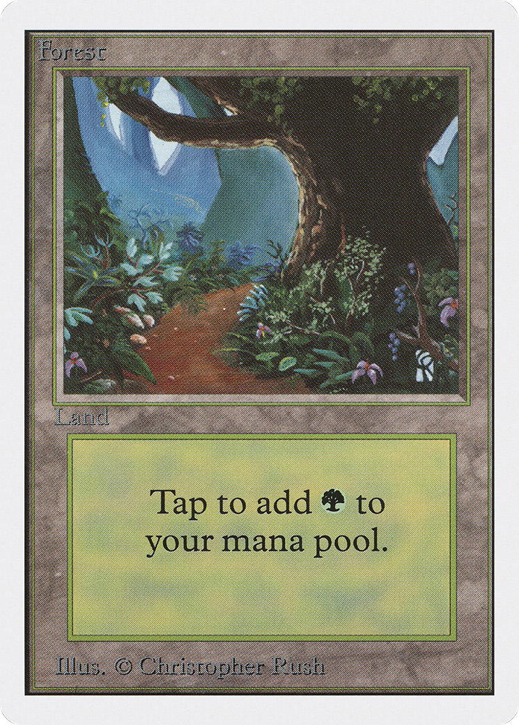 Forest (Path)