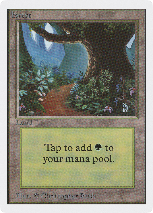 Forest (Path)