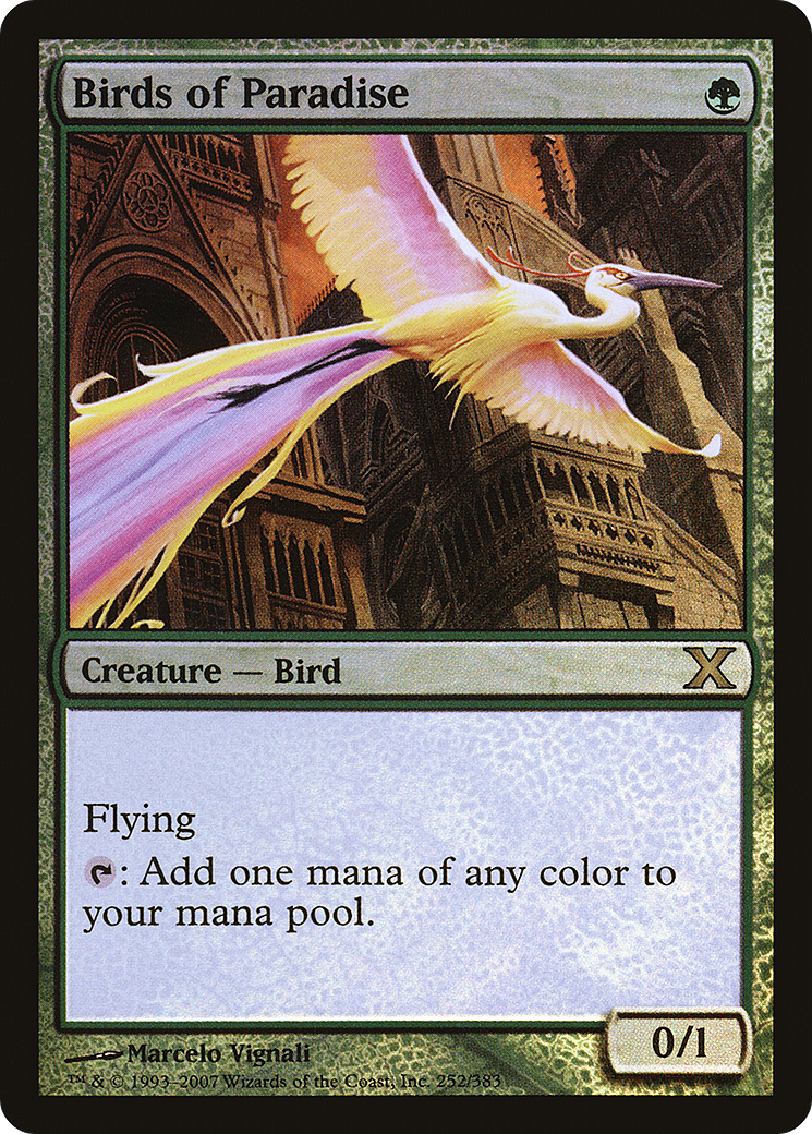 Birds of Paradise - Foil