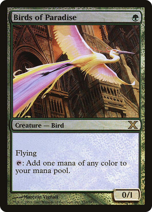 Birds of Paradise - Foil