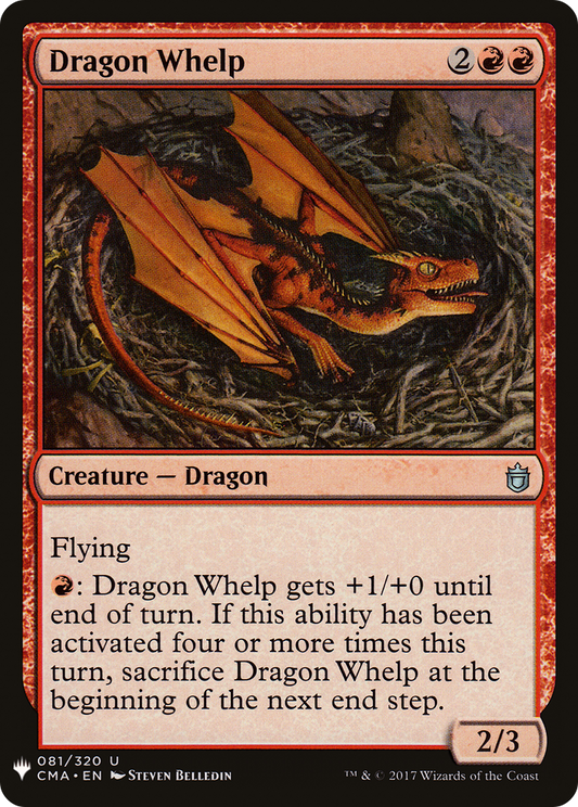 Dragon Whelp (081)