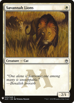 Savannah Lions (033)
