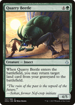 Quarry Beetle - Foil