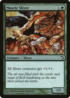 Muscle Sliver - Foil