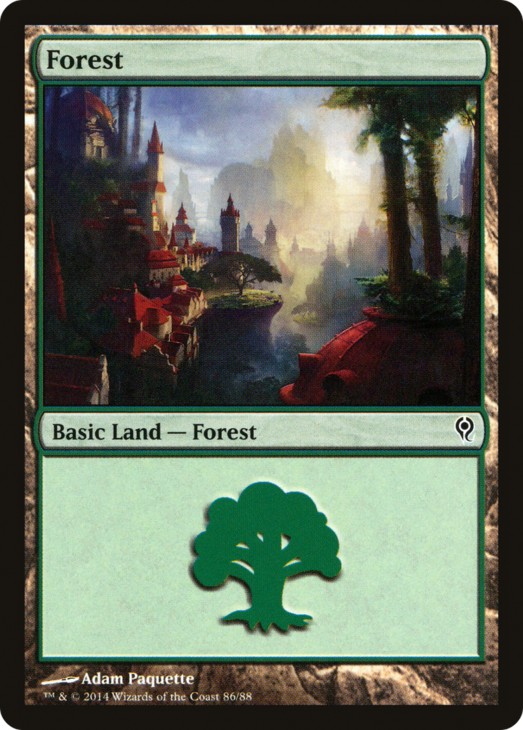 Forest (86)