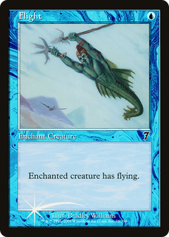 Flight - Foil