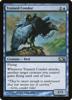 Trained Condor - Foil