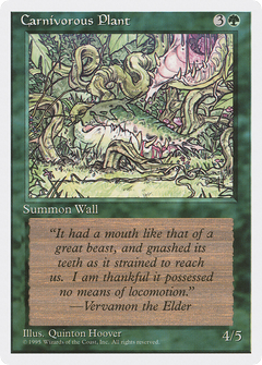 Carnivorous Plant