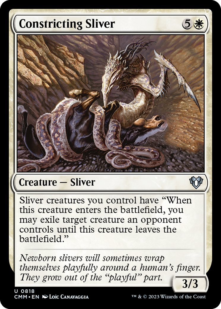 Constricting Sliver