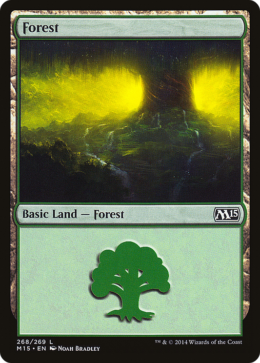 Forest (268)