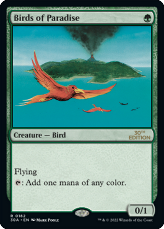 Birds of Paradise (Modern Frame)