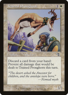 Trained Pronghorn - Foil