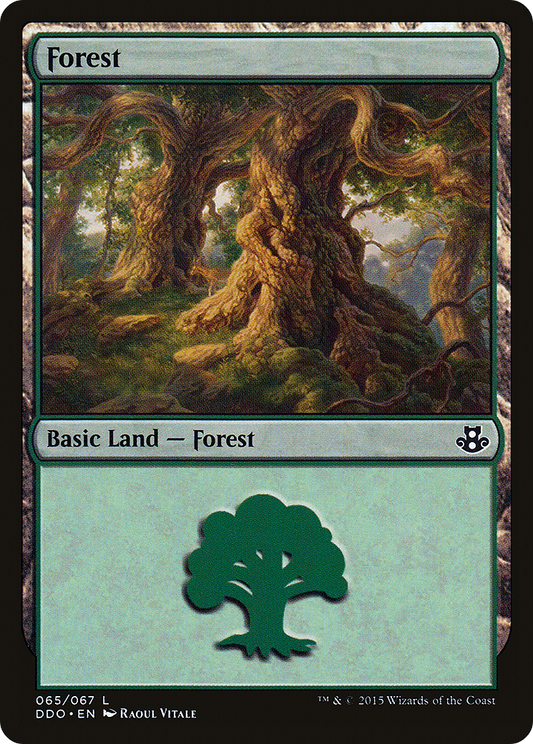 Forest (065)