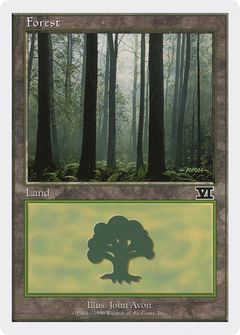 Forest (Three Trees in Foreground)