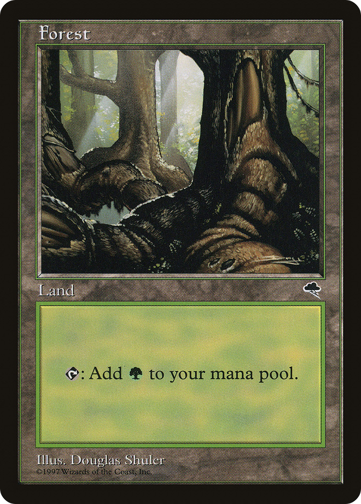 Forest (Large Roots)
