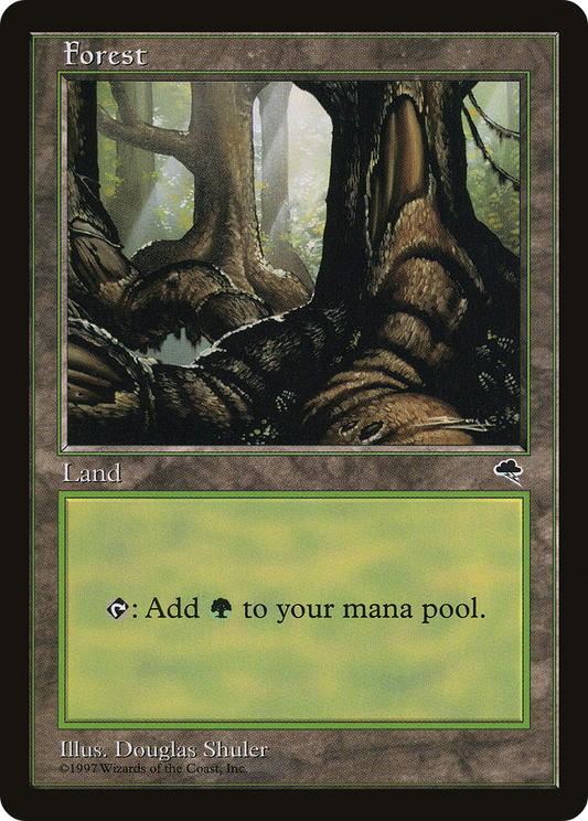 Forest (Large Roots)