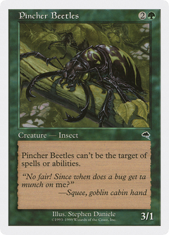 Pincher Beetles