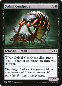 Spinal Centipede - Foil