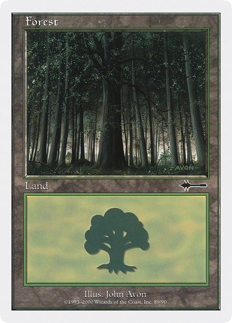 Forest (89)