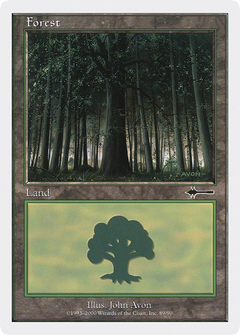 Forest (89)