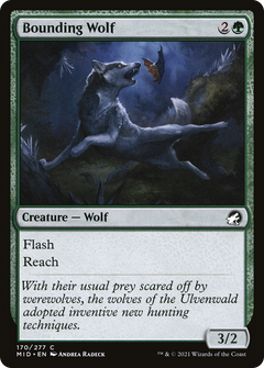 Bounding Wolf