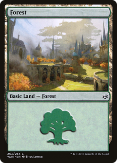Forest (263)