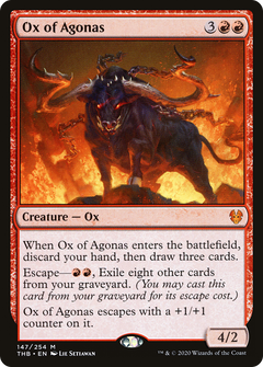 Ox of Agonas