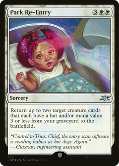 Park Re-Entry (308) - Galaxy Foil