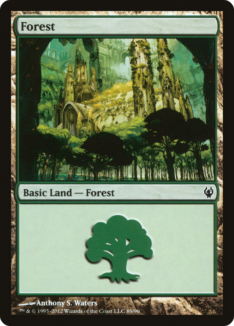 Forest (89)