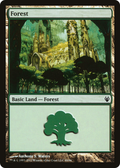 Forest (89)