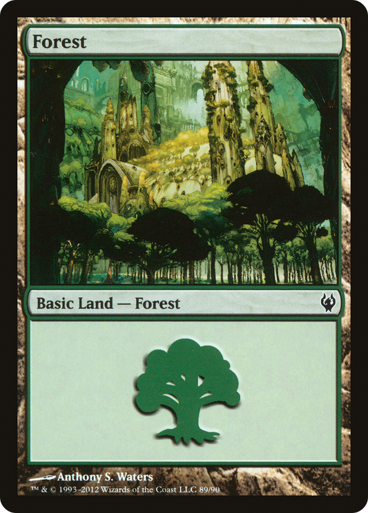 Forest (89)