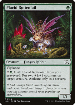 Placid Rottentail - Foil