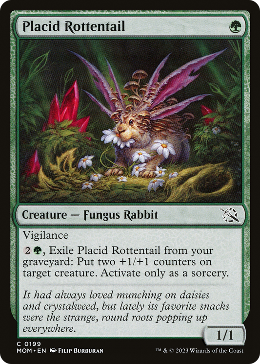 Placid Rottentail - Foil