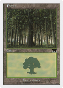 Forest (349)
