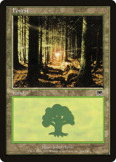 Forest (349)