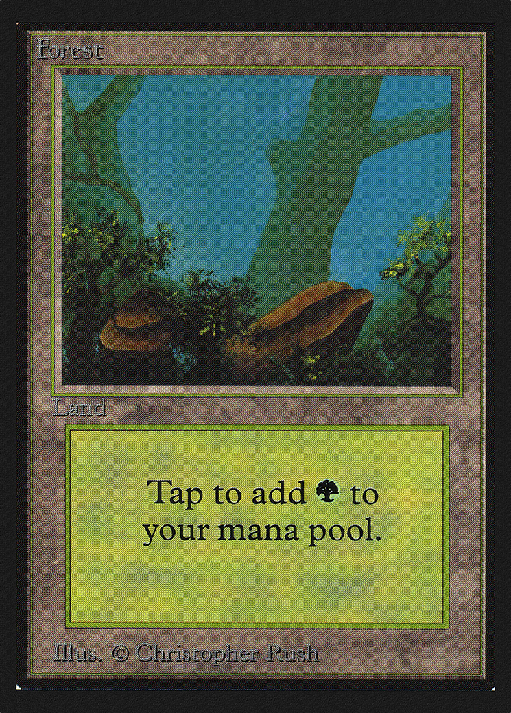 Forest (Rocks)