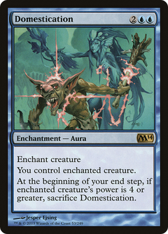 Domestication - Foil