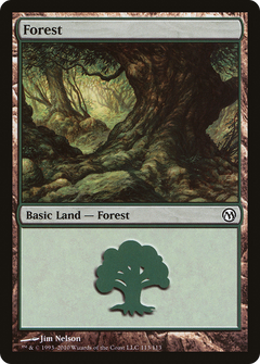 Forest (113)