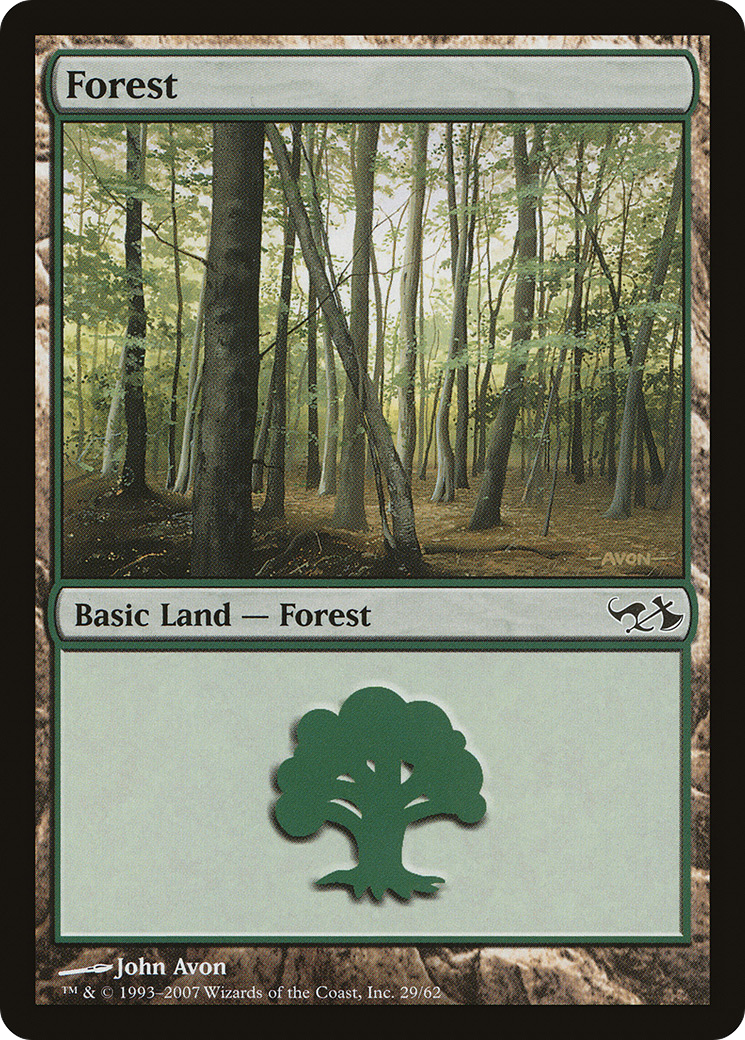 Forest (29)
