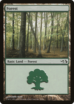 Forest (29)