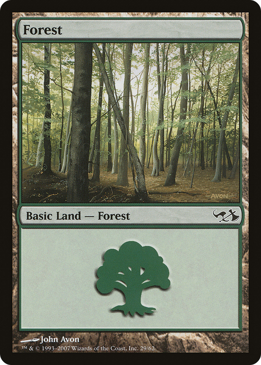 Forest (29)