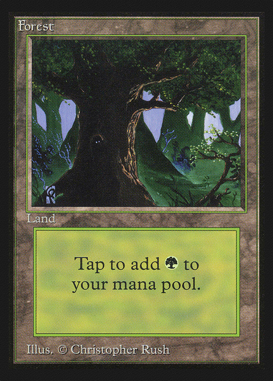 Forest (Path)