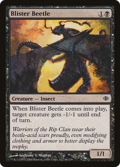 Blister Beetle - Foil