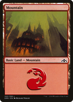 Mountain (263)