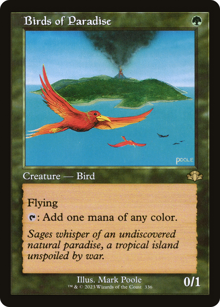 Birds of Paradise (336) (Retro Frame)