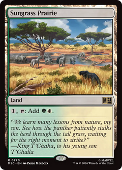 Sungrass Prairie (MSC) - Surge Foil