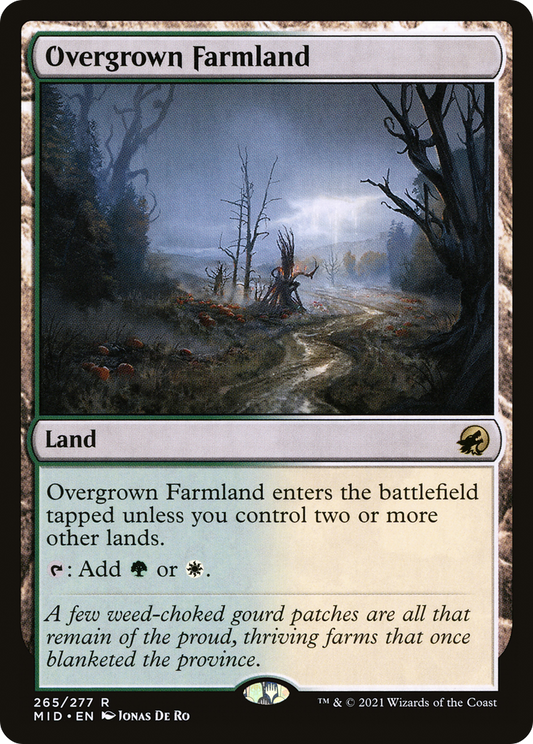 Overgrown Farmland - Foil