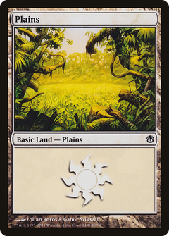 Plains (40)